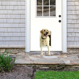 Pet Doors
